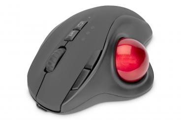 Ergonomische Trackball Maus, drahtlos 